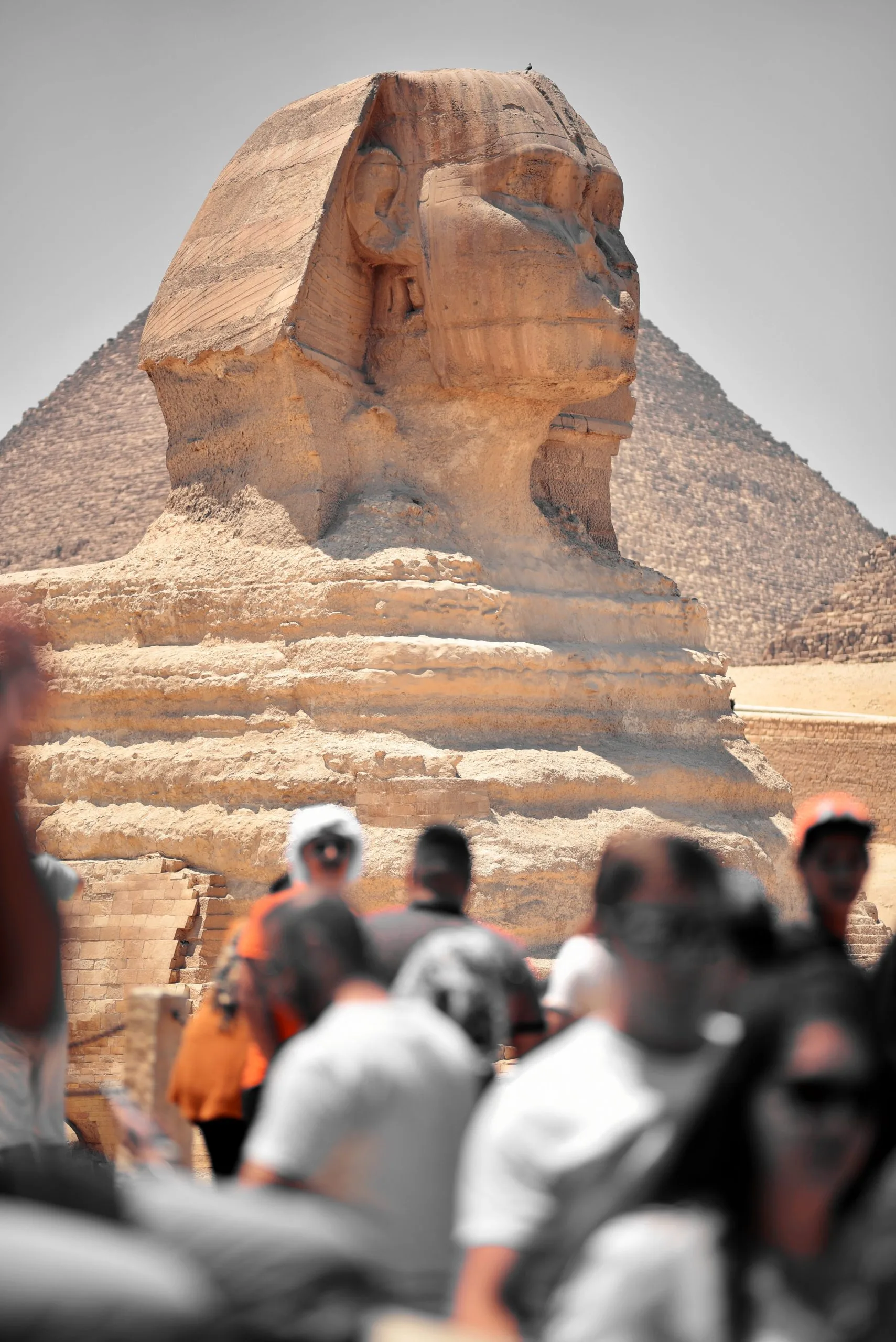 egypt-e_visa6-scaled